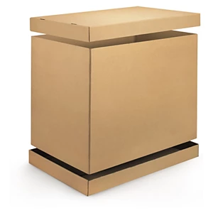 Export Cartons